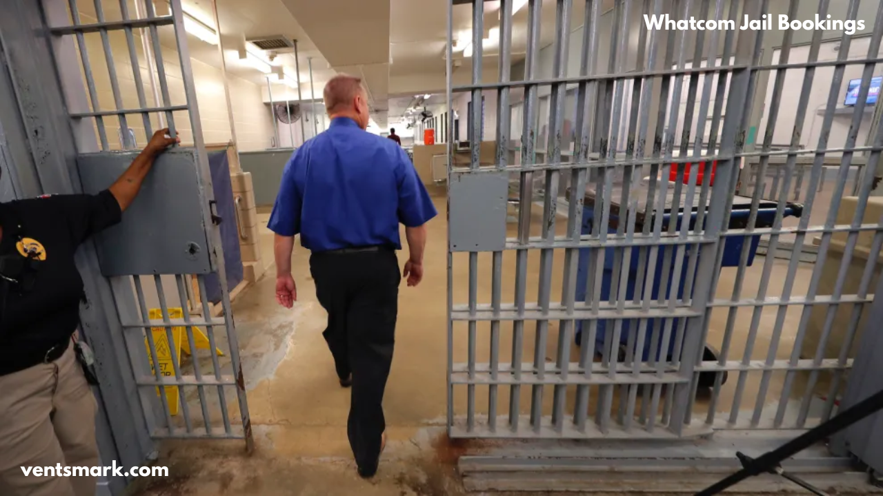 Whatcom Jail Bookings